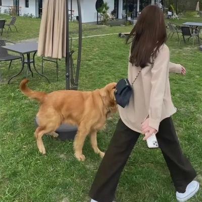 毁婚二十一条